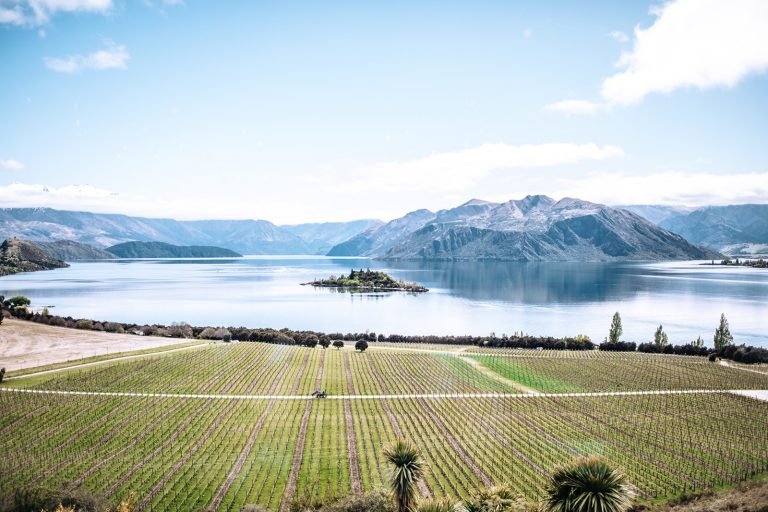 Rippon vinyard overlooking Ruby Island with snow on the mountains