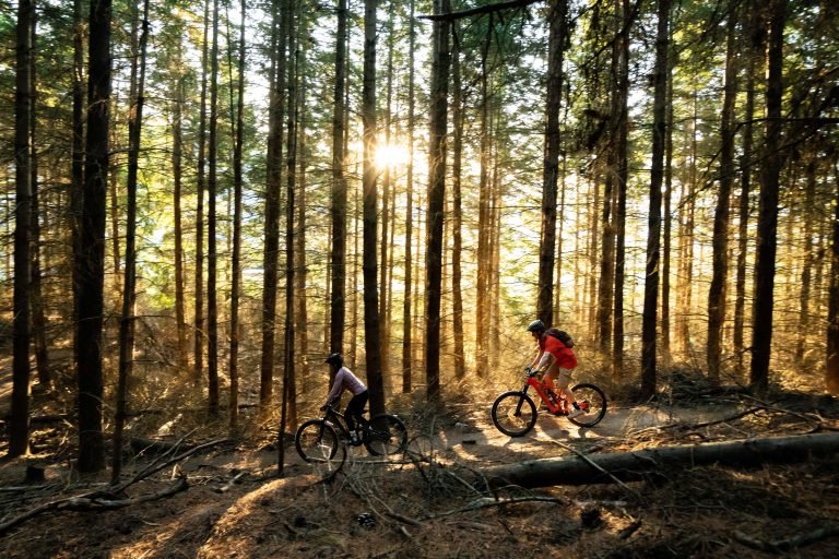 Wanaka eMTB Sticky Forest